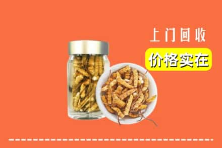 高价收购:昆明上门回收散虫草